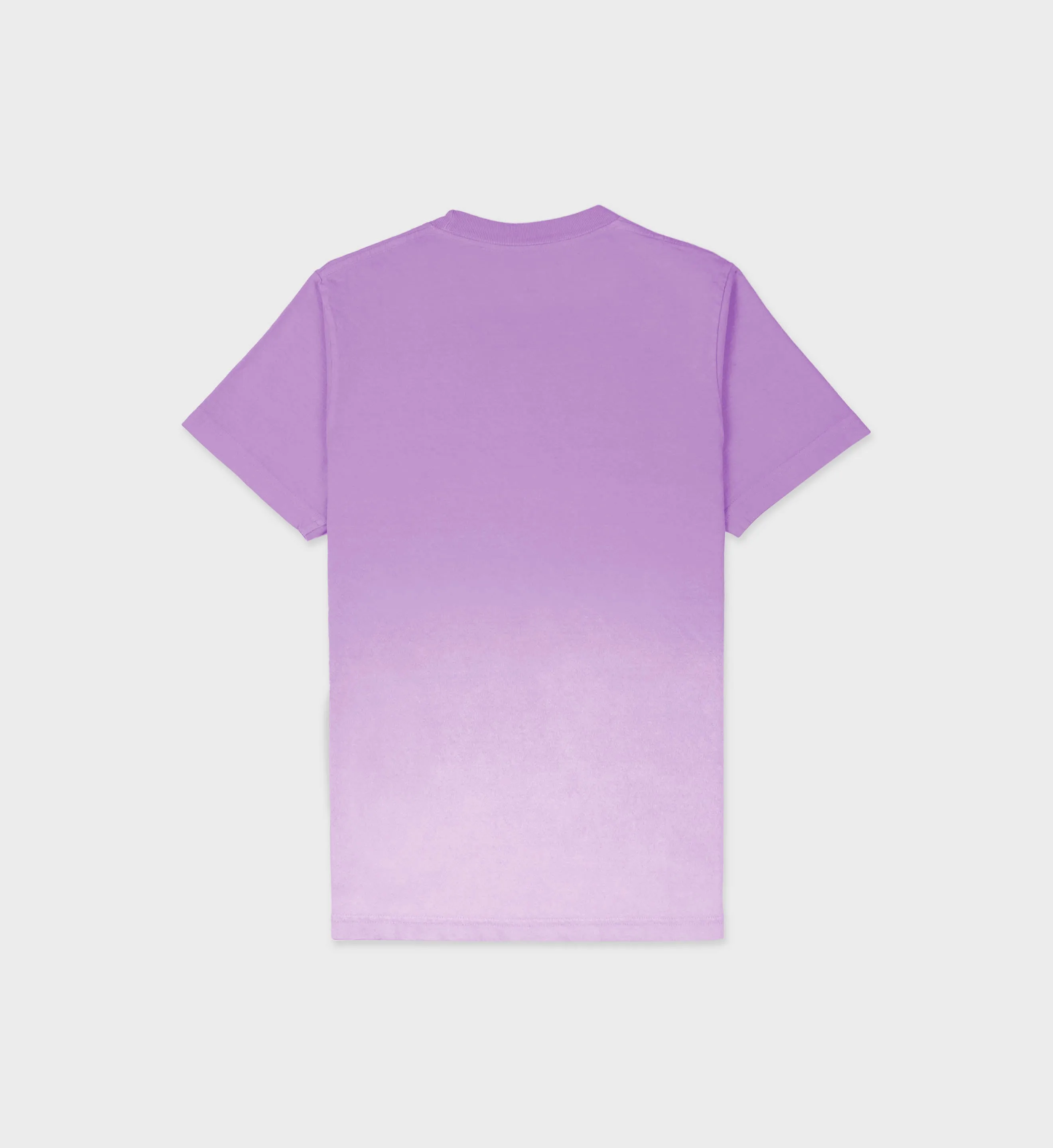 Wellness Ivy T-Shirt - Dip Dye Purple/White